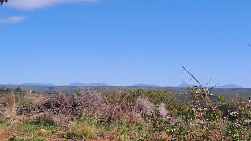 0 Bedroom Property for Sale in Stilbaai Wes Western Cape